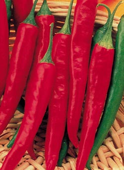 More Than Hot:  The Benefits of Cayenne