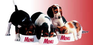 Pet Food Recall Update - Was it Rat Poison???