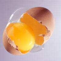 Top Ten Nutrition Myths Debunked Top Ten Nutrition Myths Debunked
