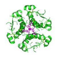 Insulin IS a Hormone