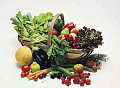 What's the Deal with: Phytonutrients