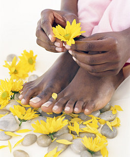 Bone Quiz:  Hand vs. Foot