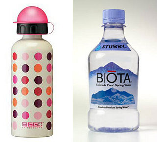 Plastic Water Bottles:  Really Bad for the Environment