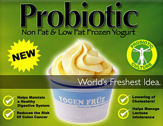 Latest Healthy Dessert Craze: Yogen Früz