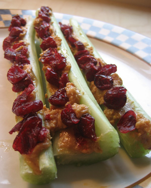 Snack Attack:  Red Ants on a Log