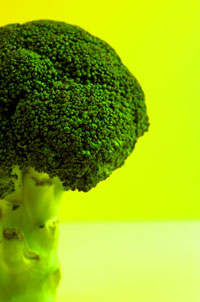 Rise Up and Demand Fresh Veggies