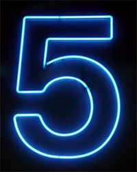 5 Things: About Fat