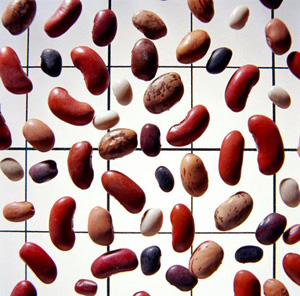 You Asked:  Vegetarians and Protein