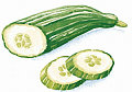 You Asked: Health Benefits of Cucumbers?