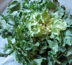 Another Way to Go Green:  Escarole
