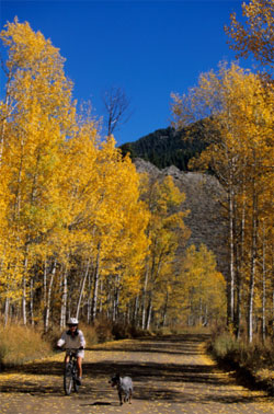 Outdoor Activities, Just a Few Ideas