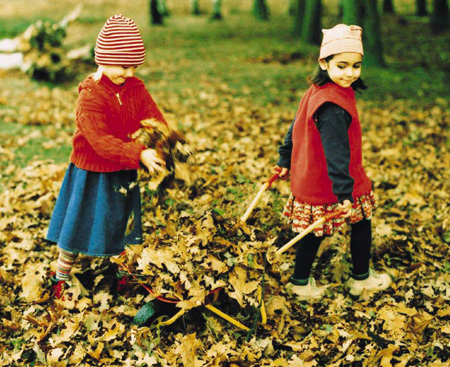 Childhood Fall Memories