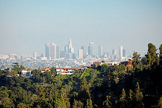 Do You Live in a Green City?
