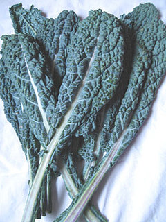 Crazy for Dino Kale