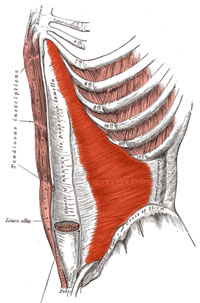 Abdominal Bracing vs. Pulling Abs in Pilates Style
