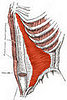 Abdominal Bracing vs. Pulling Abs in Pilates Style