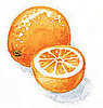 I Don't Buy It: Bitter Orange for Weight Loss