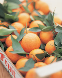Wake Up and Drink OJ: Vitamin C Fights Stress