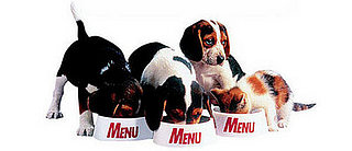 The Craziest Recall of 2007: Pet Food