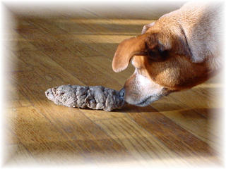 heavy_sniff_resize