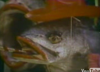 Flashback: "Fish Heads" Song