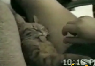 Cute 'N Sleepy