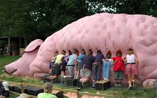 What the Hell Is Going On Here?