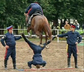 Odd Moments In Sports