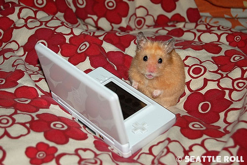 Hamster Hacker