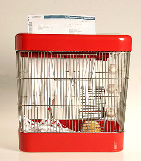 Product of the Day: Hamster Powered Paper Shredder