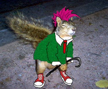 Dress The Squirrel!