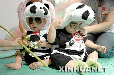babypanda3 babypanda3