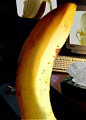 Is That A Banana In Your Pocket...