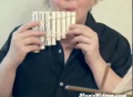 Tampax Flute Lady