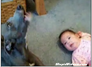 Cute Alert: Baby and Puppy Duet