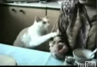 Happy Caturday!