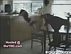 Animal Problem Solving