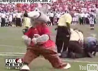 Mascots Gone Wild!