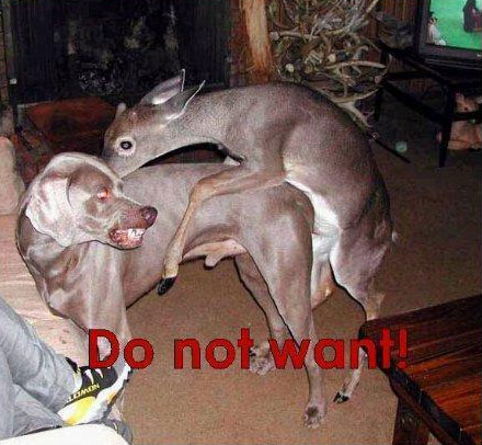 dontwant3 dontwant3