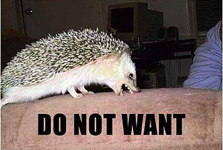 Want/Do Not Want