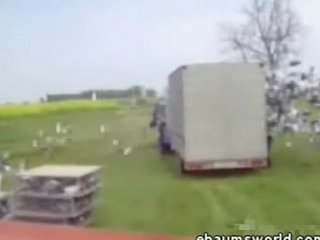 Ruh Roh!