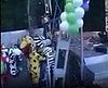 This Is Why I Don't Go to Theme Parks