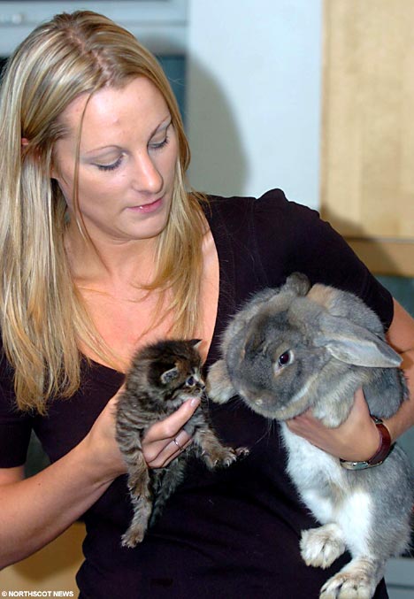 RabbitKit3NSPA_468x677 RabbitKit3NSPA_468x677