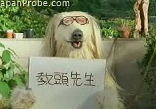 Surreal Japanese Ad