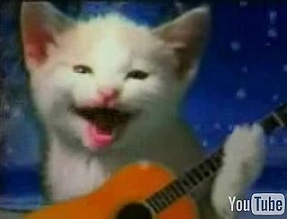 Cats Perform Your Fave Christmas Melodies