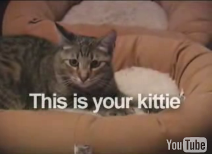 Just Say "No" to Catnip