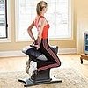 Giggle's Anti-Gift Guide: The Giddyup! Core Exerciser
