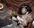 Hey, Hey We're The Monkees...