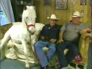 A Horse Is A Horse, Of Course, Of Course...