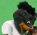 Foul Play